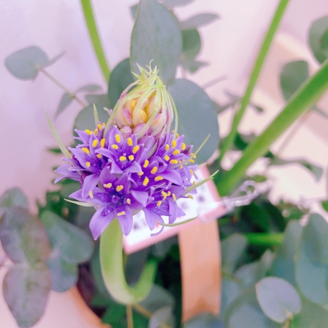 5月21日