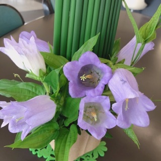 5月25日