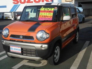 DSCN7085