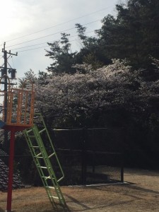 写真 2018-03-27 7 57 29