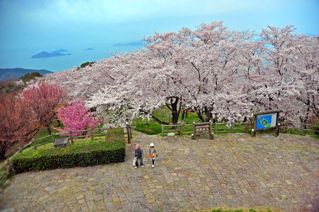 大浜公園