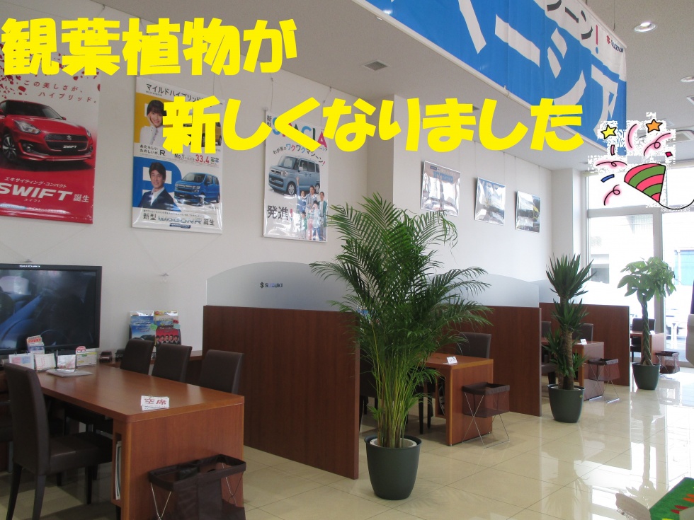 観葉植物 キッズルームがリニューアル その他 お店ブログ 株式会社 観葉植物 キッズルームがリニューアル その他 お店ブログ 株式会社