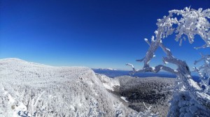 DSC_1220 (2)