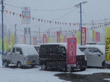 雪ですね☃