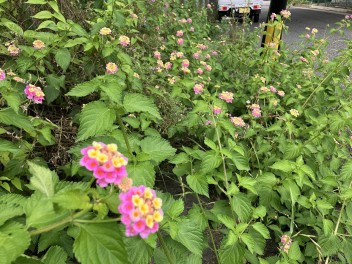 なんか気になる。