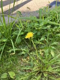 今ですか！