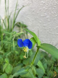 早くも食欲の秋？ですか？？