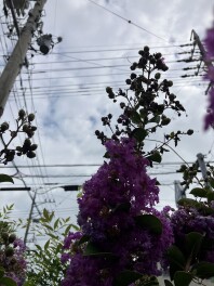 「おつかれさまでした」