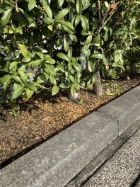 もう終わりですか？
