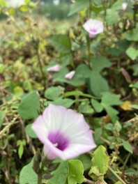 どこかでお会いしました？