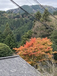 こーよー、どーよー。