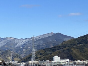 シン・春の訪れ