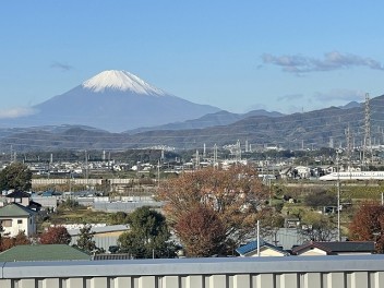 構内緑地清掃活動