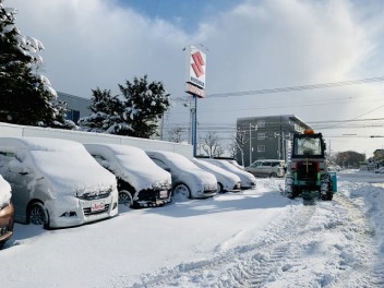 今シーズン初雪かき‼