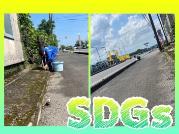 ** SDGs **