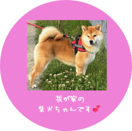 だいぶん涼しくなってきましたね(*´ω｀*)