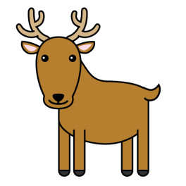 野生動物とぶつかったら