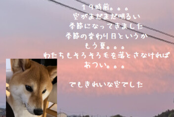 スタッフのつぶやき。。。