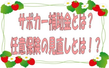 春が来た！新メンバーも！サポカーも！