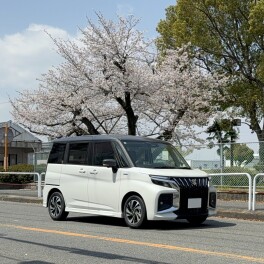ブログリレー桜スポット紹介(^^♪♪