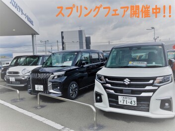 スプリングフェア開催です！！