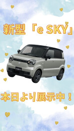 お待たせしました！新型「e SKY」展示中！！