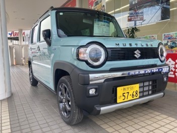 試乗車ハスラー　タフワイルド！