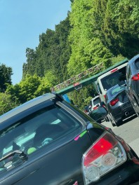 伊吹山ドライブウェイに行ってきました！