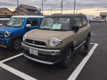 新型クロスビーの試乗車が来ました！