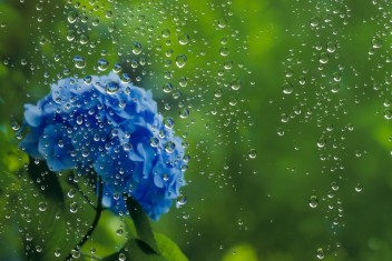 梅雨の季節