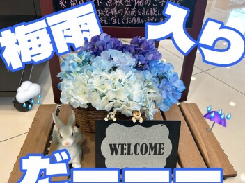 梅雨入りですね(;´д｀)