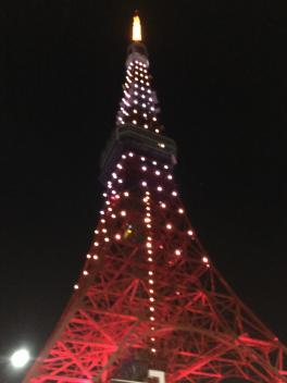 東京タワー行ってきました＆決算”残り１か月”