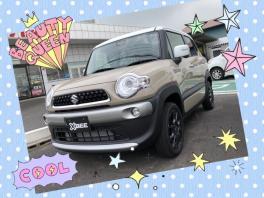Summer special limited car 