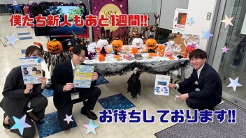 決算最終週です！