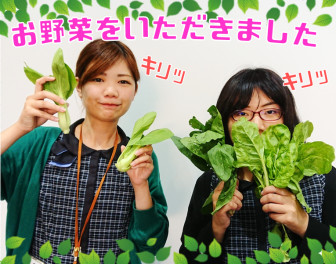 たくさんのお野菜)^o^(いただきました♡