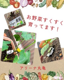 お野菜すくすく育ってます！