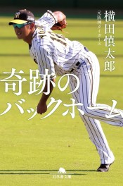 阪神タイガース３８年ぶり日本一おめでとう！