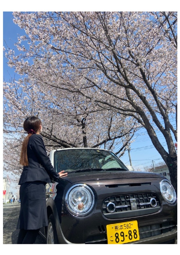 健軍店前の桜が見ごろです✧