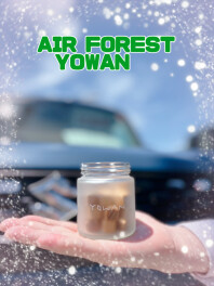 好評発売中‼「Air Forest YOWAN 車用エアケアキューブ★