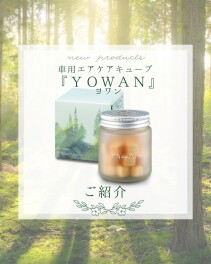 まるで森林浴♪「YOWAN」ご紹介！
