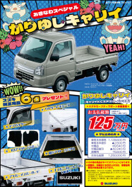 かりゆしキャリイをご紹介！