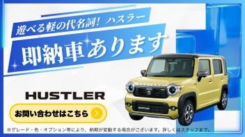 【今月の即納車】