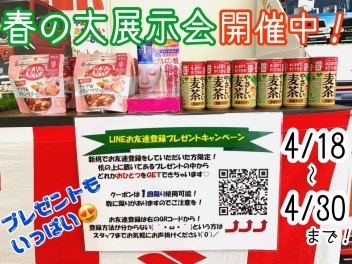 本日からスタート！春の大展示会☆彡