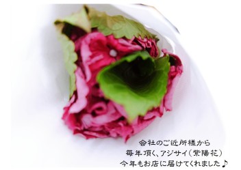 魔除け・厄除け(/・ω・)/
