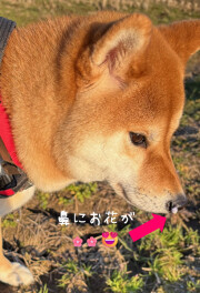 スタッフのつぶやき。。。