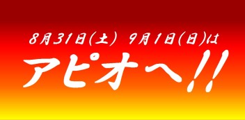 300台展示!!!アピオへお越し下さい！！