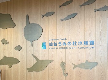 営業再開いたしました✨