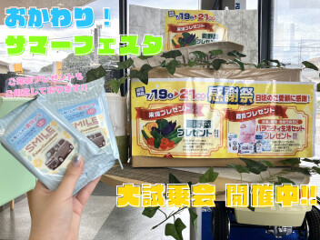 おかわり！サマーフェスタ大試乗会開催中!!