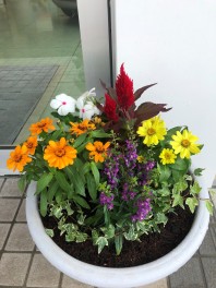 お花入れ替えしました！