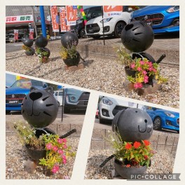 ❀お花が咲いてます❀